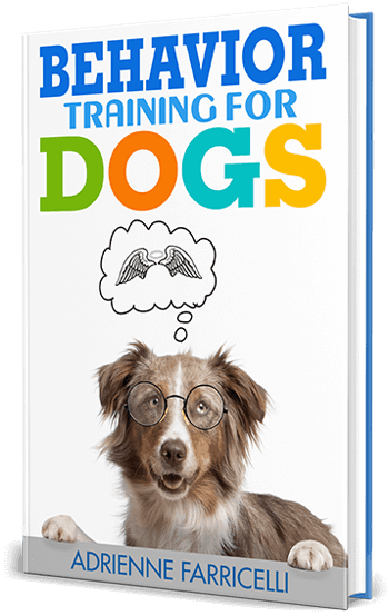 Brain Training For Dogs