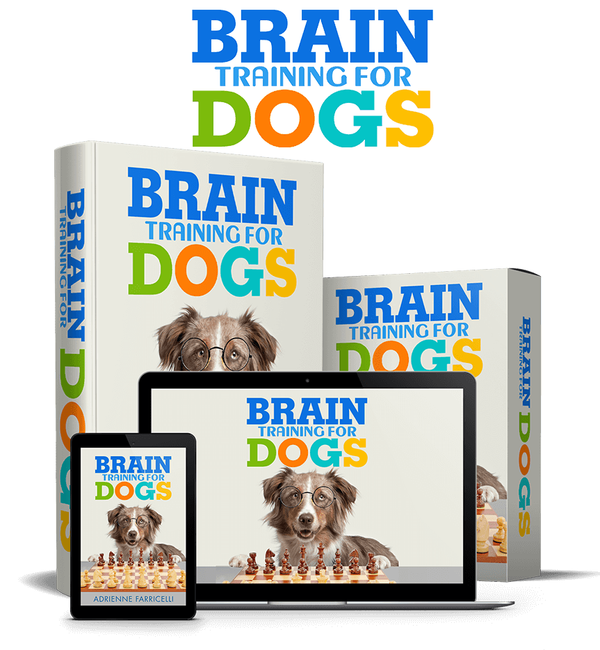 Brain Training For Dogs